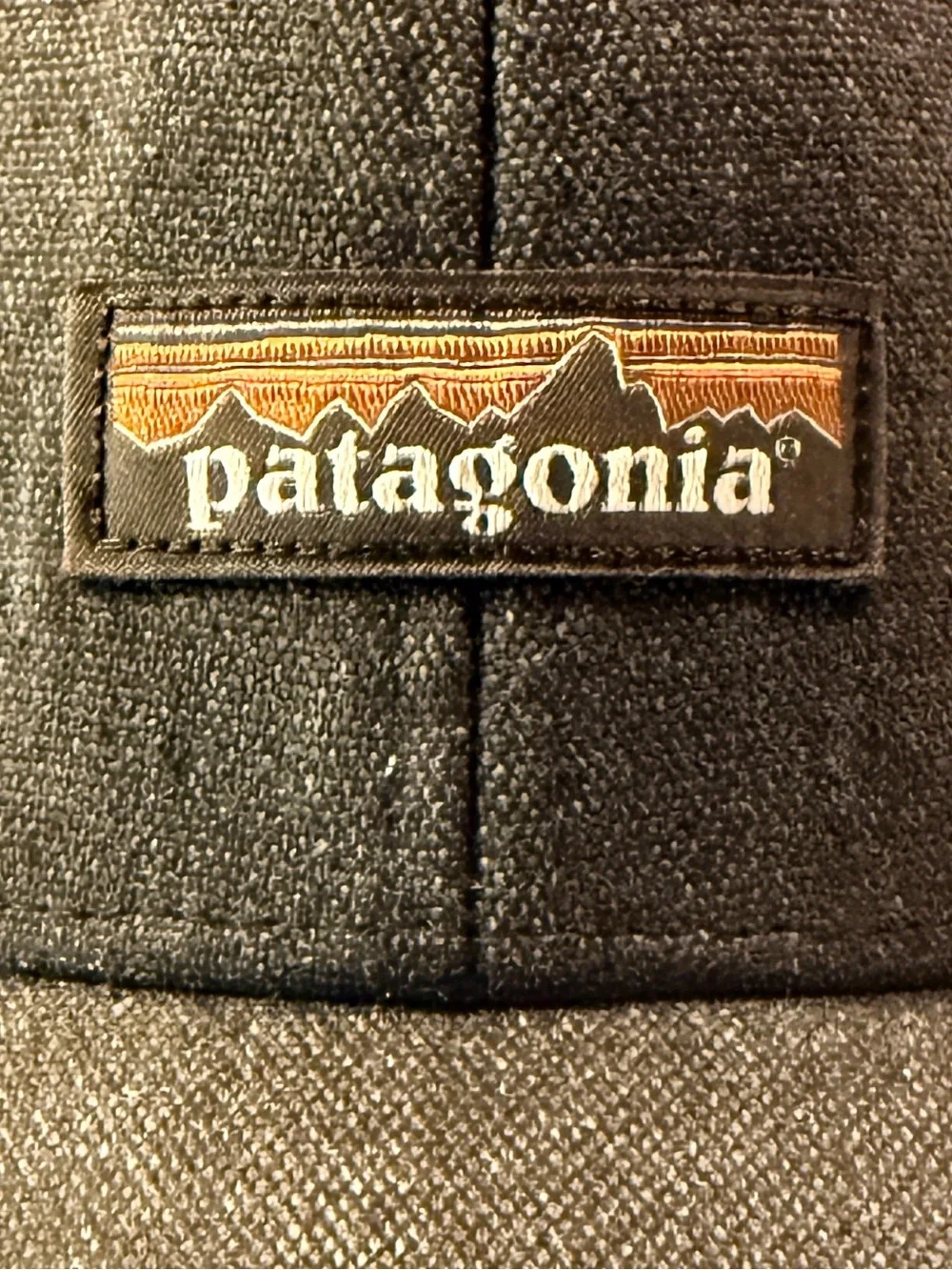Patagonia Worn Wear Snap Back Cap